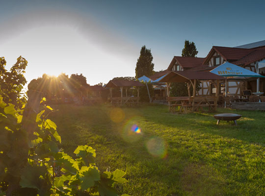 Eingebettet in die Natur unser Krimidinner Heilbronn auf dem Weingut Amalienhof