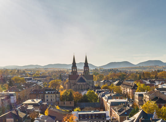 Blick über die Stadt Landau bei Sonnenschein