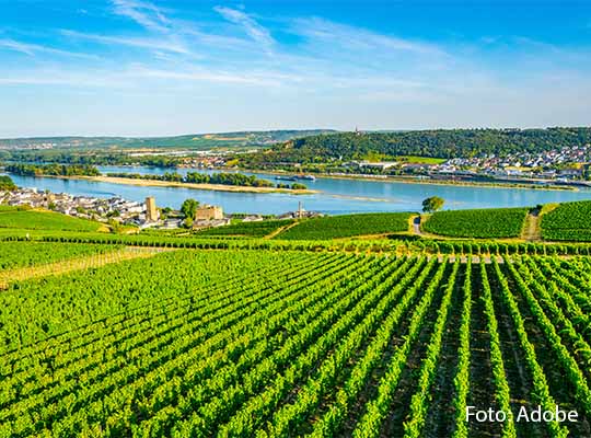 Rüdesheim